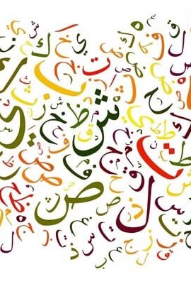 تطور اللغة في العلوم اللغوية العربية