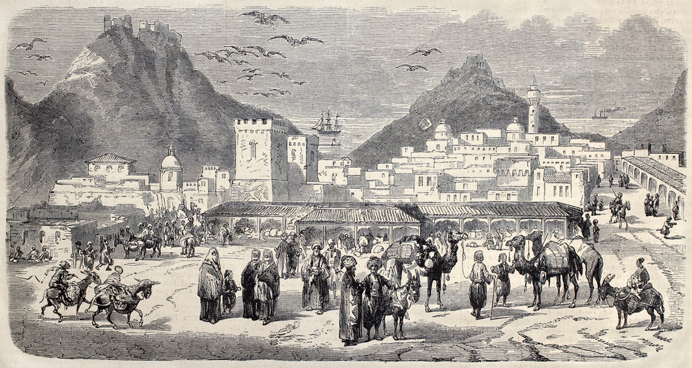 تاريخ اللغة العربية